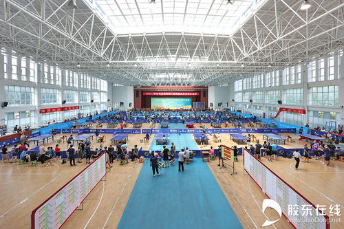 核力乒乓，共贏綠色未來 2024核能科普宣傳杯全民健身乒乓球大獎賽圓滿落幕